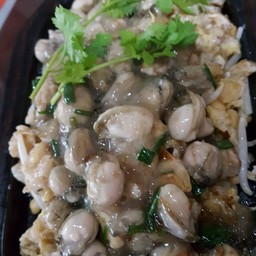 ออส่วนหอยนางรม