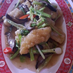 เนื้อปลากระพงผัดคึนไฉ่