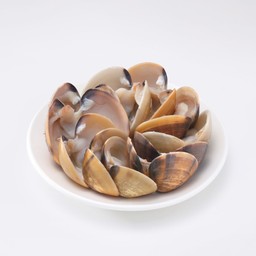 หอยตลับ