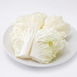 ผักกาดขาว