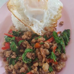 ข้าวกะเพราหมู
