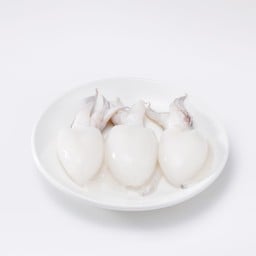 ปลาหมึก