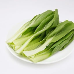 ผักกวางตุ้ง