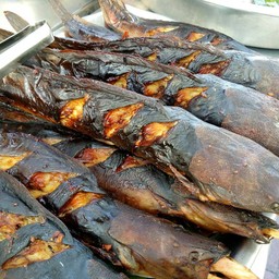 ปลาดุกย่าง