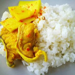 ข้าวราด 1อย่าง