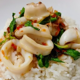 ข้าวกะเพราปลาหมึก