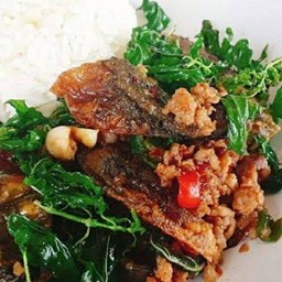 กระเพราไข่เยี่ยวม้าราดข้าว