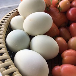 ไข่เค็ม