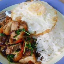 ข้าวราด ผัดกระเพราหมูกรอบ ไข่ดาว