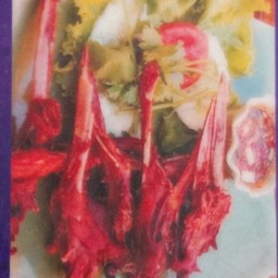 ปากเป็ดทอด