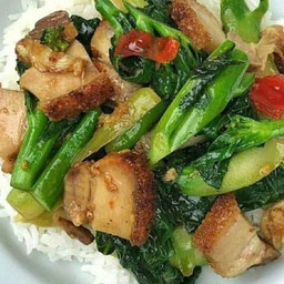 ผัดคะน้าราดข้าว