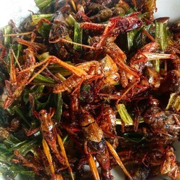 ตั๊กแตนทอด