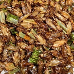 แมลงสะดิ้งทอด