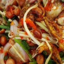 มะม่วงปลากรอบ45