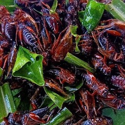 จิ้งหรีดทอด