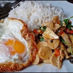 ข้าวราด กระเพราเห็ด  ไข่ดาว