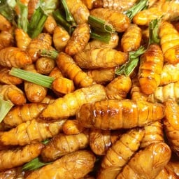 ดักแด้ทอด