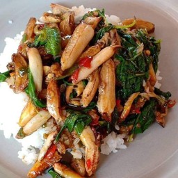 กระเพราปู