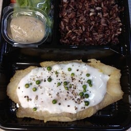 สเต็กปลาซอสซาวครีม