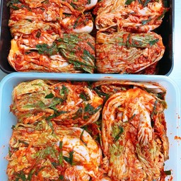 หมีหม้าล่า