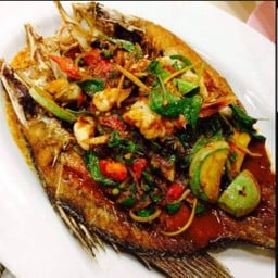 ปลากะพงพุงแตก