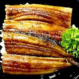 ข้าวหน้าปลาไหล