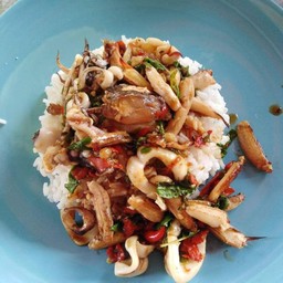 กระเพราปู ปลาหมึก