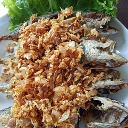 ปลาทูทอดกระเทียม