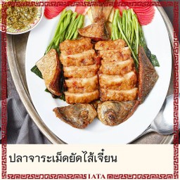 จาระเม็ดยัดไส้เจี๋ยน