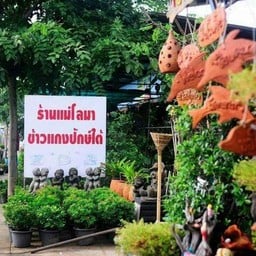 ร้านแม่โลมา ข้าวแกงปักษ์ใต้