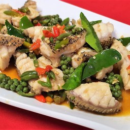 เนื้อปลาเก๋าผัดฉ่า