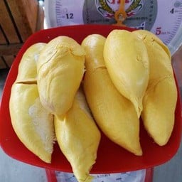 ทุเรียนเจ้าสัว สาขาดอนเมือง