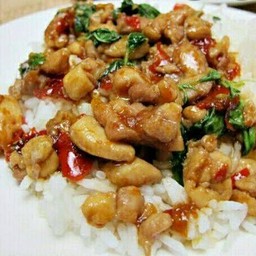 ผัดกระเพราอกไก่ราดข้าว