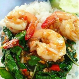 ผัดกระเพรากุ้งราดข้าว