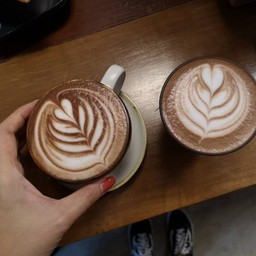 โกโก้
