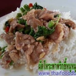 ผัดโหระพาพริกขี้หนูหมูหมัก (ราดข้าว)