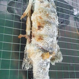 ปลากะพงเผาเกลือ