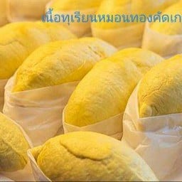 แมลงทอดไหมล่ะ?