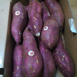 มันหวานญี่ปุ่น