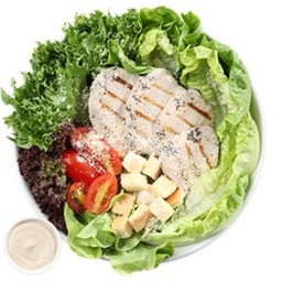 สลัดซีซาร์ไก่ L