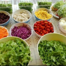 สลัดผัก/สลัดโรล ไฮโดรโปนิกส์