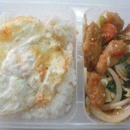 ข้าวราดปลาผัดกระเพรา+ไข่ดาว saute basil with fish+fried egg