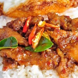 ผัดพริกเผาราดข้าว