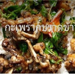 กระเพรากบสับราดข้าว