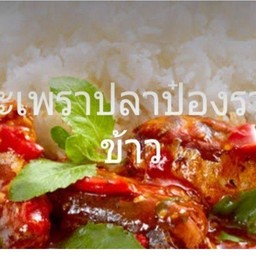 กระเพราปลากระป๋องราดข้าว