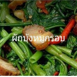 ผักบุ้งหมูกรอบราดข้าว