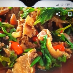 กระเพราไก่ราดข้าว