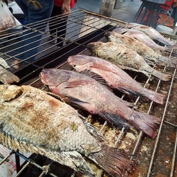 ขนาดจะไม่เท่ากันทุกวัน ราคาก็จะไม่เท่ากัน สนใจสามารถโทรถามราคาได้ครับ 