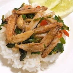 กะเพราปูราดข้าว