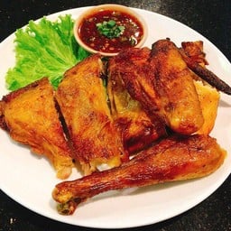 ไก่บ้านย่าง